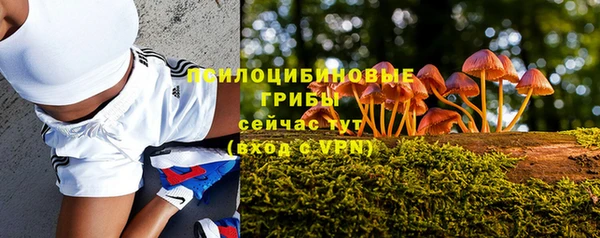 Альфа ПВП Баксан