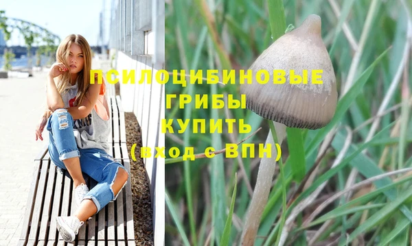 Альфа ПВП Баксан