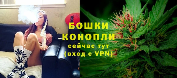 ГАЛЛЮЦИНОГЕННЫЕ ГРИБЫ Балабаново