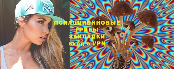 соль ск Балахна
