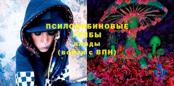 соль ск Балахна