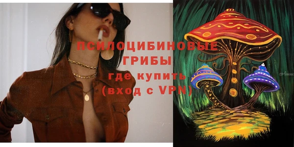 соль ск Балахна