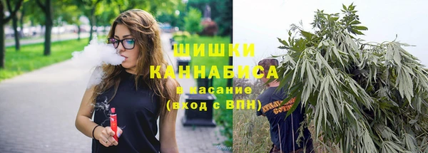 соль ск Балахна